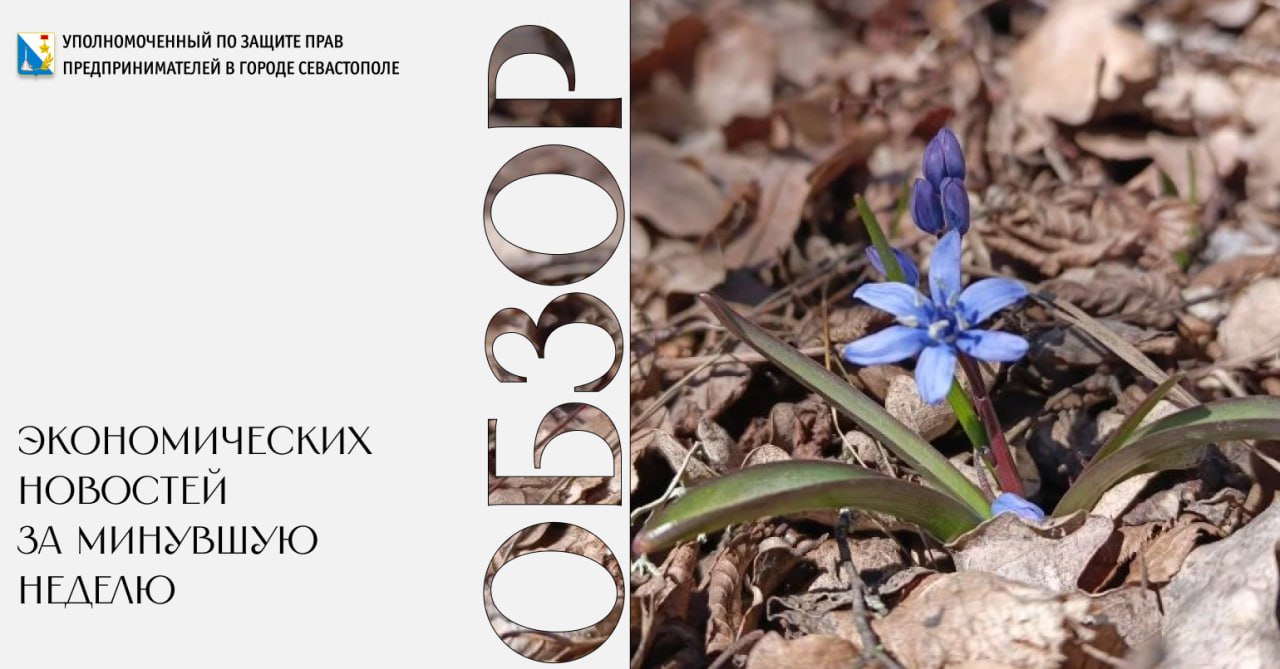 Илья Пестерников: Премьер-министр РФ Михаил Мишустин: сервисы для бизнеса должны быть одинаково доступны по всей стране