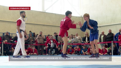 Севастополь принял спортсменов из 10 регионов на соревнованиях по самбо