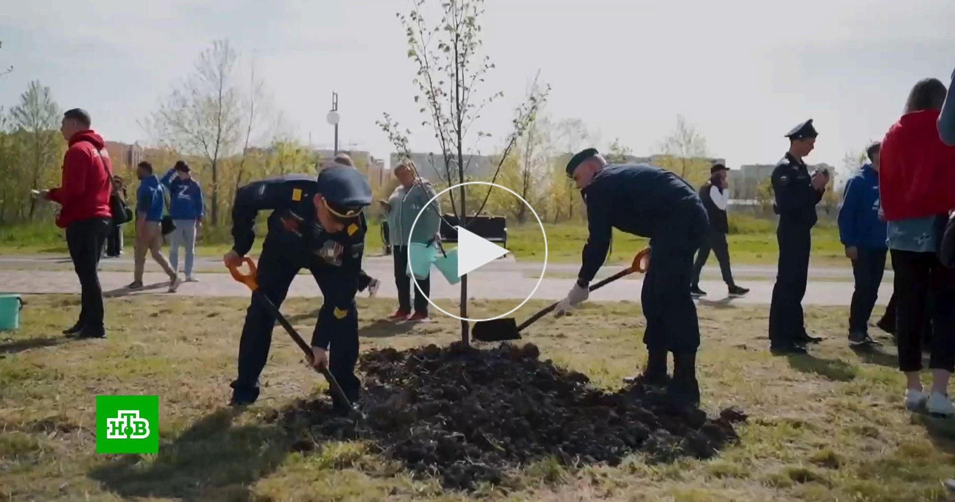 Акцию «Сад памяти» посвятят героям Великой Отечественной войны и СВО