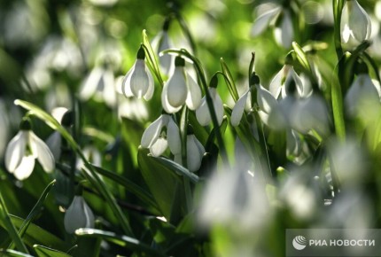 Прогноз погоды в Крыму на вторник