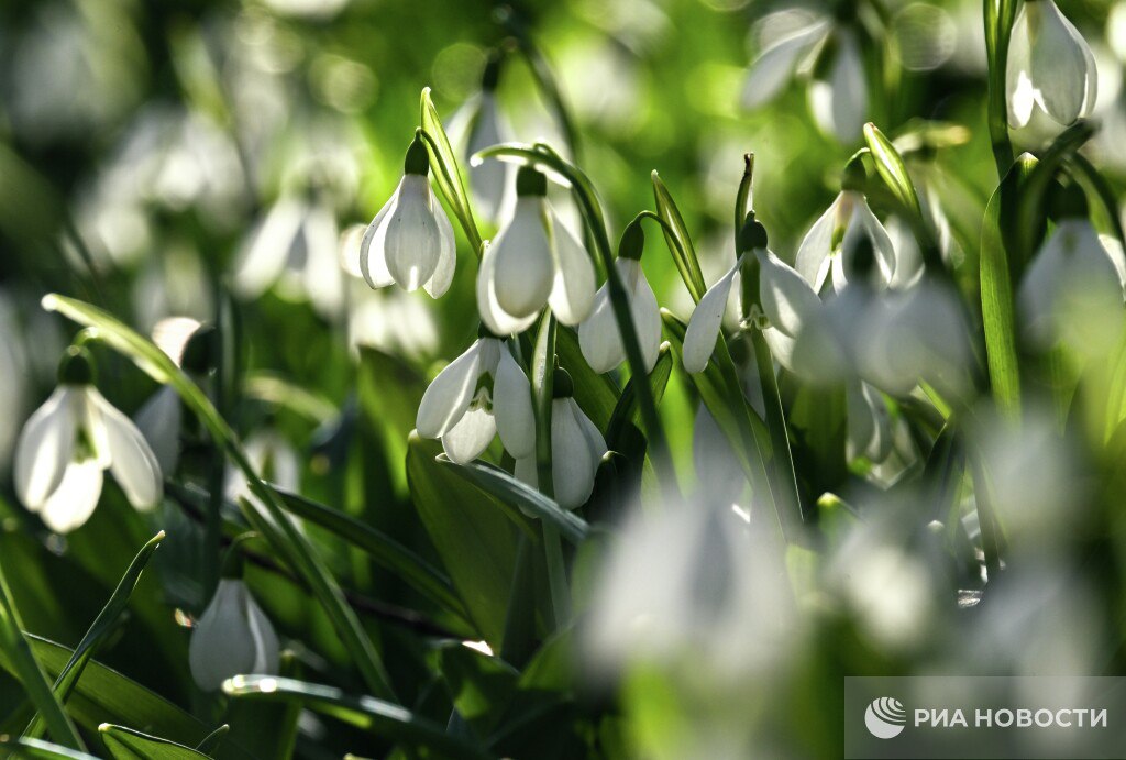 Прогноз погоды в Крыму на вторник
