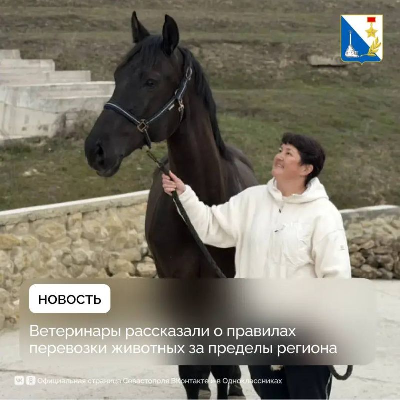 �������� �������� �� ������� ����������� � ����� ����� ������ � ��������������� ������������