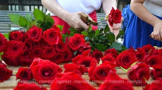 ���� ����� ��������� ������ �������