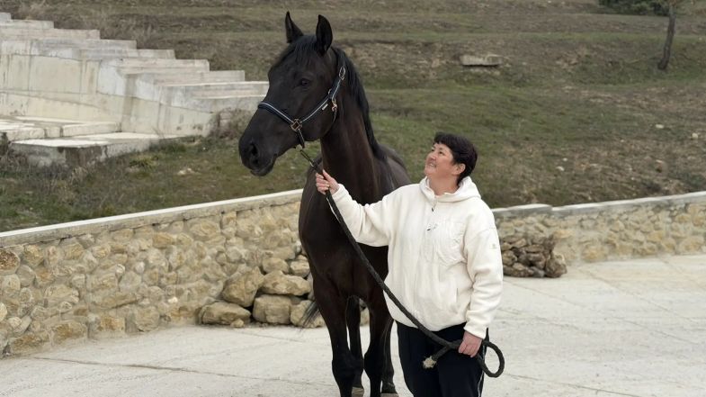 ��������������� ���������� ���������� � �������� ��������� �������������������� � �������� �������� �� ������� �������