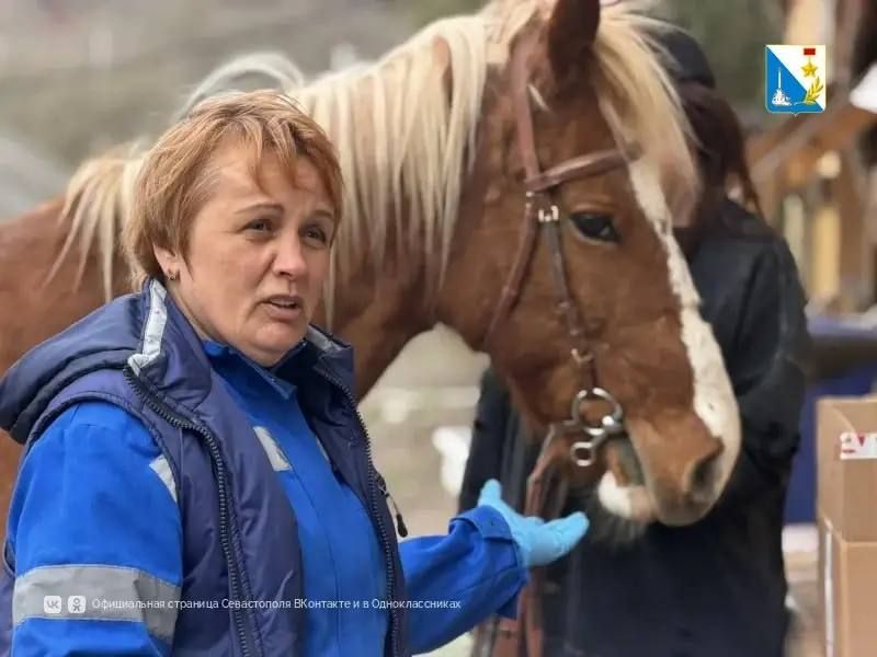 ���������� ����������� ������ ���������� ��������� �������� �� ���������