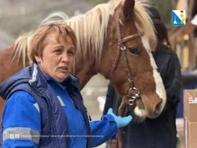 ���������� ����������� ������ ���������� ��������� �������� �� ���������