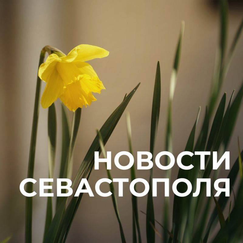 ������ ���������: ������� � �������:. ������ ����������: � ����� ������ �������� ������ � ������ ���������������� ������� ���������� ��������� ������������� ������ � �������� �����������