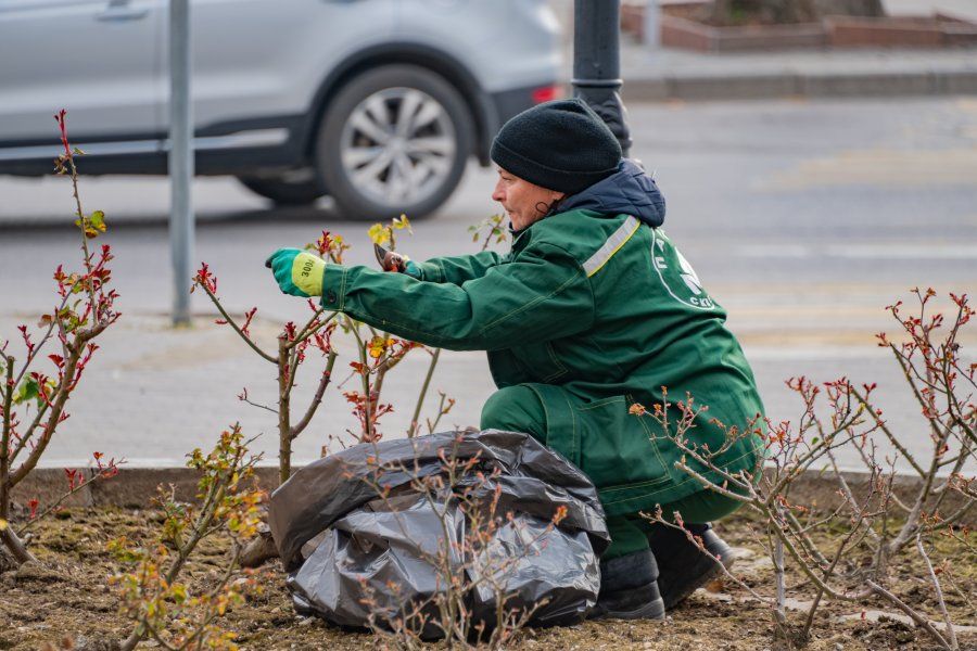 ������ � ������� ������� ������� ������ � ������ ��������