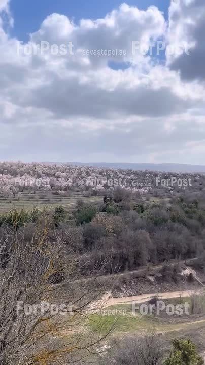 Цветущие сады и шикарные облака у озера в селе Танковое