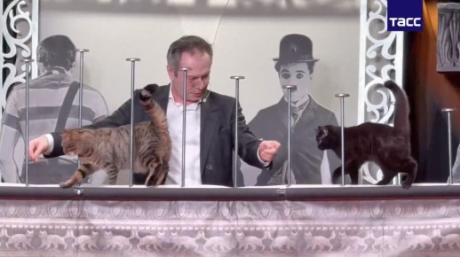 �������� �� ���� ������������ ����� ��������� � ���������