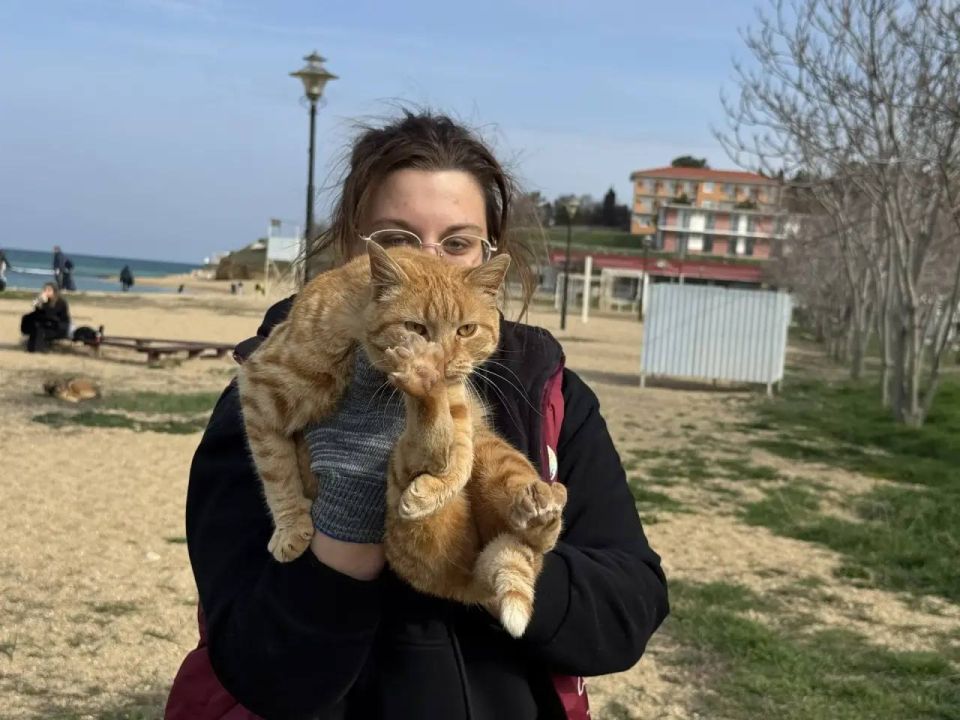 ������ ����� �� ������ �������� ���������