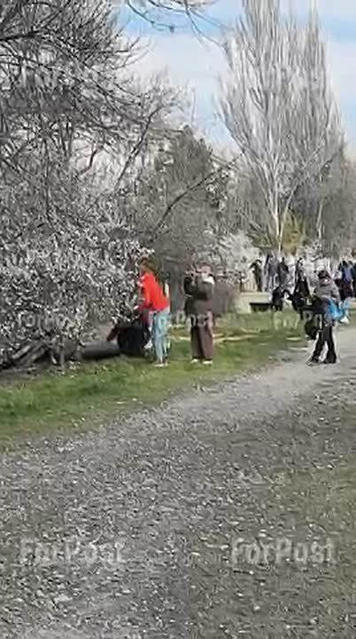 В Севастополе начался сезон субботников – сегодня первые прошли во многих районах города