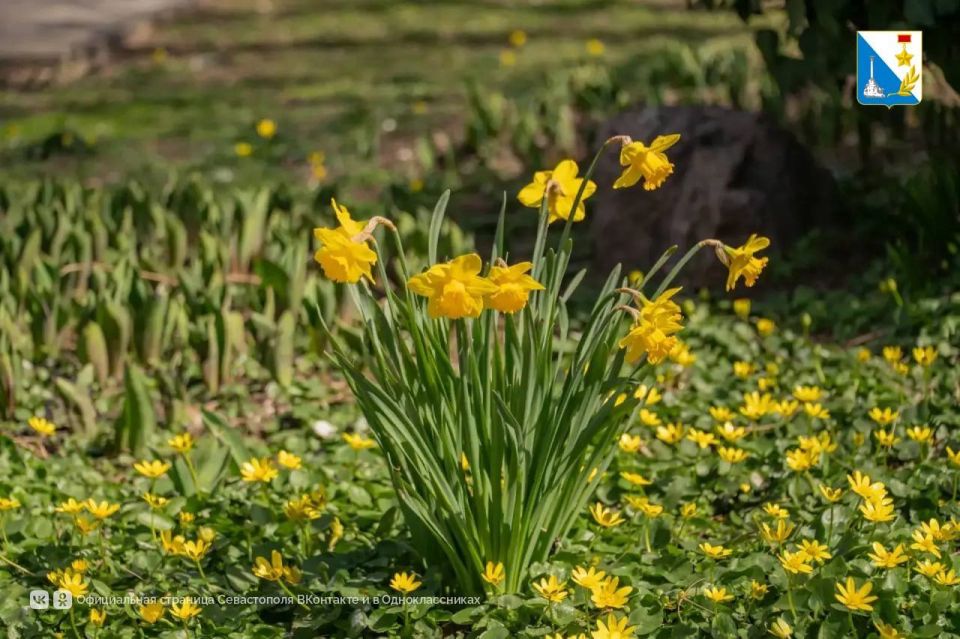 ����� � ����������� � ��� �� ������ ���� � �����, �� � ������ ����� �� ��������� �������