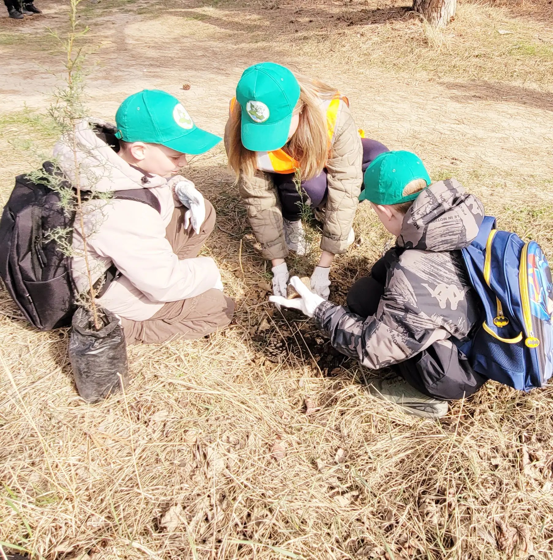 Экопросвещение. в Международный день лесов в Севастополе высадили 50 хвойных деревьев!