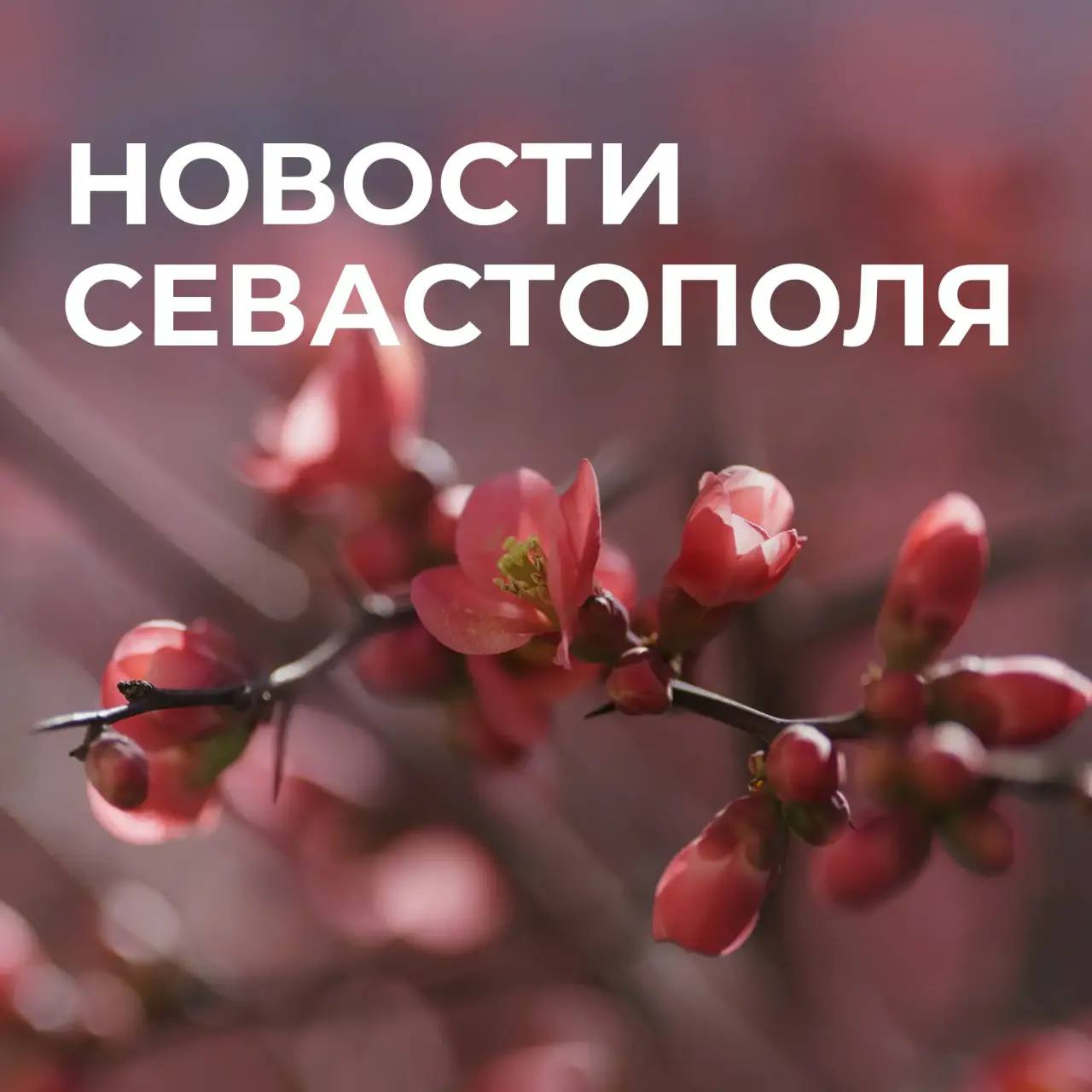 Михаил Развожаев: Коротко о главном:. За чистоту: в Севастополе начинается традиционный сезон субботников