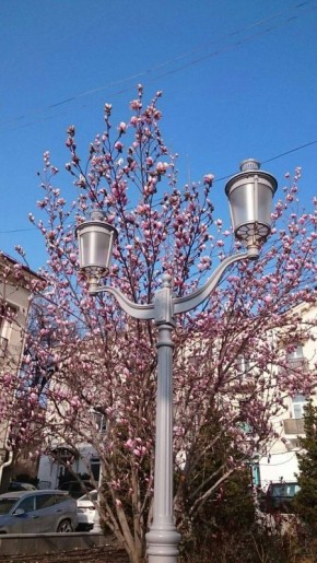 Весеннее настроение в Севастополе