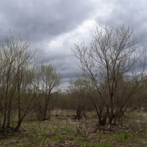 Прогноз погоды в Крыму на 22 марта