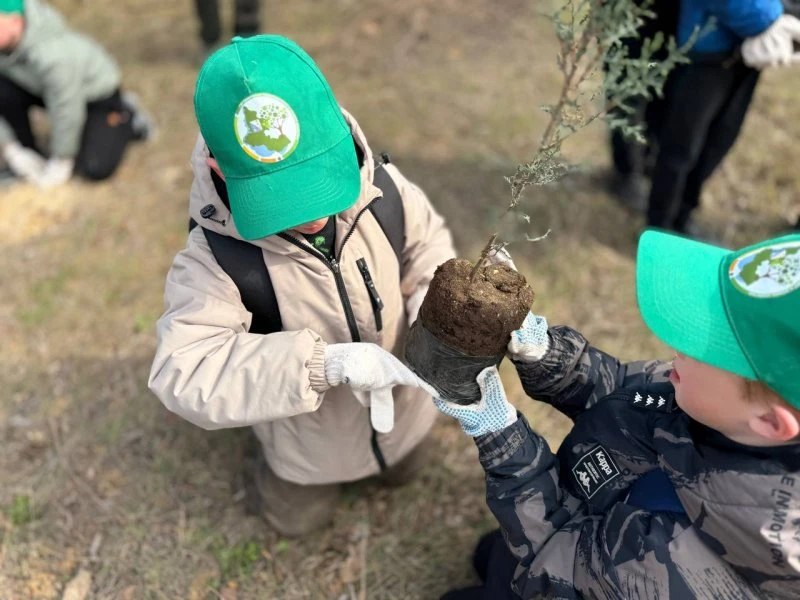 В Севастополе школьники высадили саженцы деревьев в парке 35-летия Победы