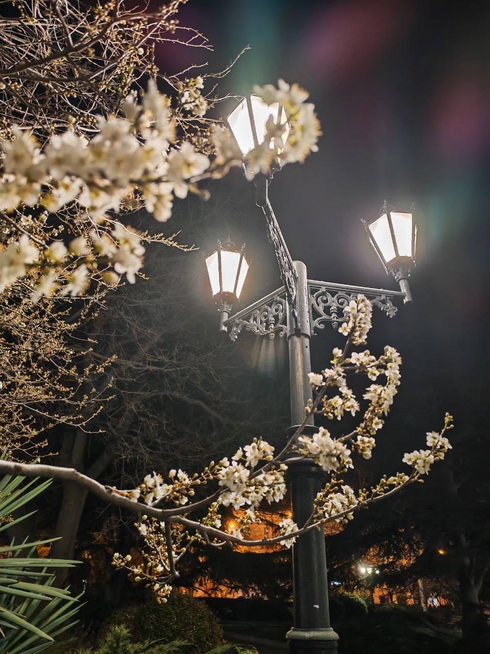 Доброго вечера, весенний город