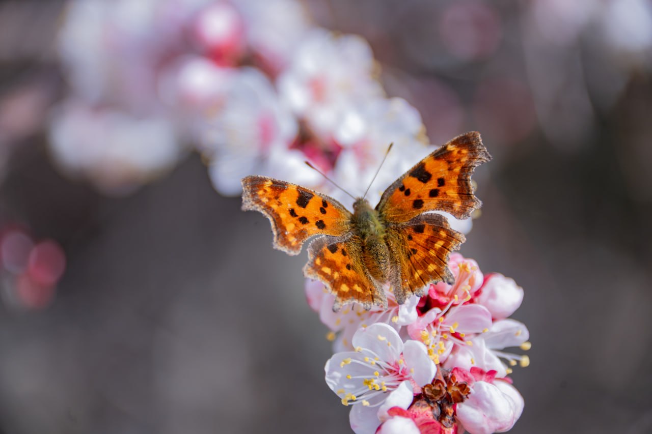 Доброго мартовского утра!. В Севастополе 22 марта без осадков