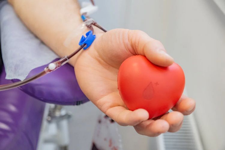 За неделю 295 севастопольцев сдали кровь