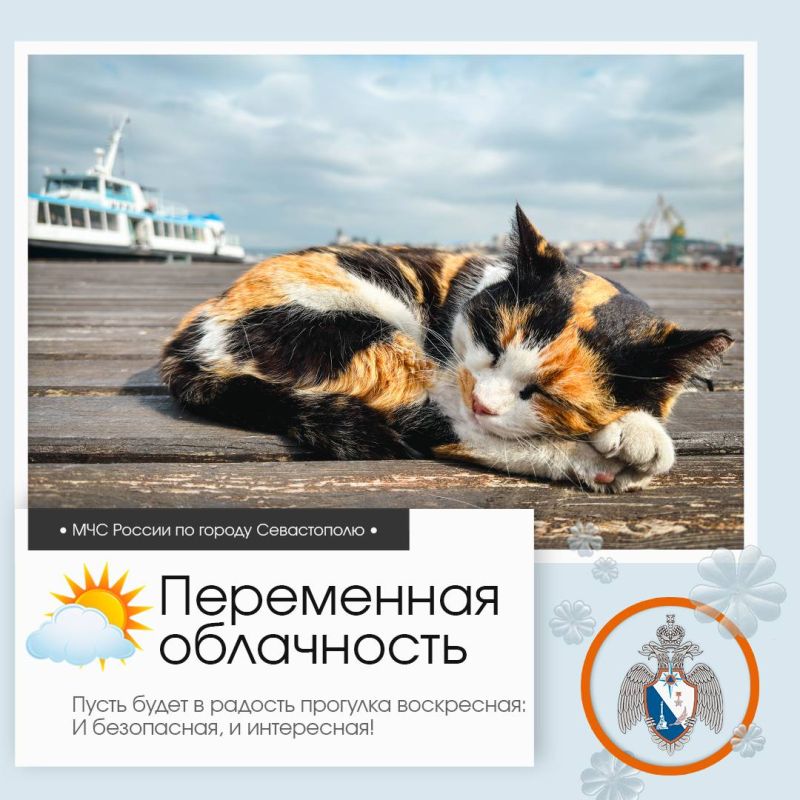 Доброе утро, Севастополь!. По данным гидрометцентра, 22 марта в Севастополе будет переменная облачность