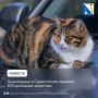 Более 100 питомцев привили ветеринары Севастополя на выходных