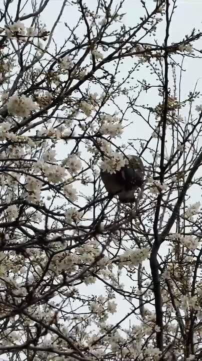 ����� ���������������� ������� ����� ��������� �� ����������� � �������� ����� ������ ������, � ����� ���� �� ������ �������� ������