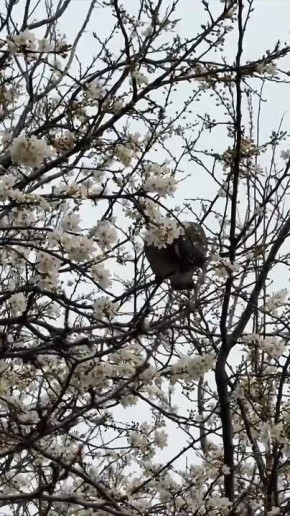 ����� ���������������� ������� ����� ��������� �� ����������� � �������� ����� ������ ������, � ����� ���� �� ������ �������� ������