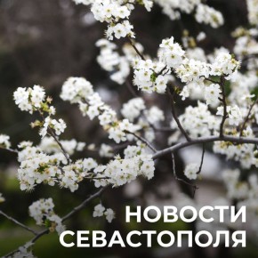 ������ ���������: ������� � �������:. ������ �����: � ����������� ��������� ����� �������� �����������