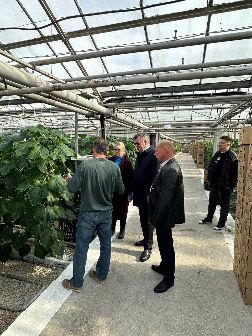 Николай Приставка: Посетил с рабочим визитом ведущий тепличный комбинат города — ООО «Севагросоюз», где стартовал сбор овощей закрытого грунта