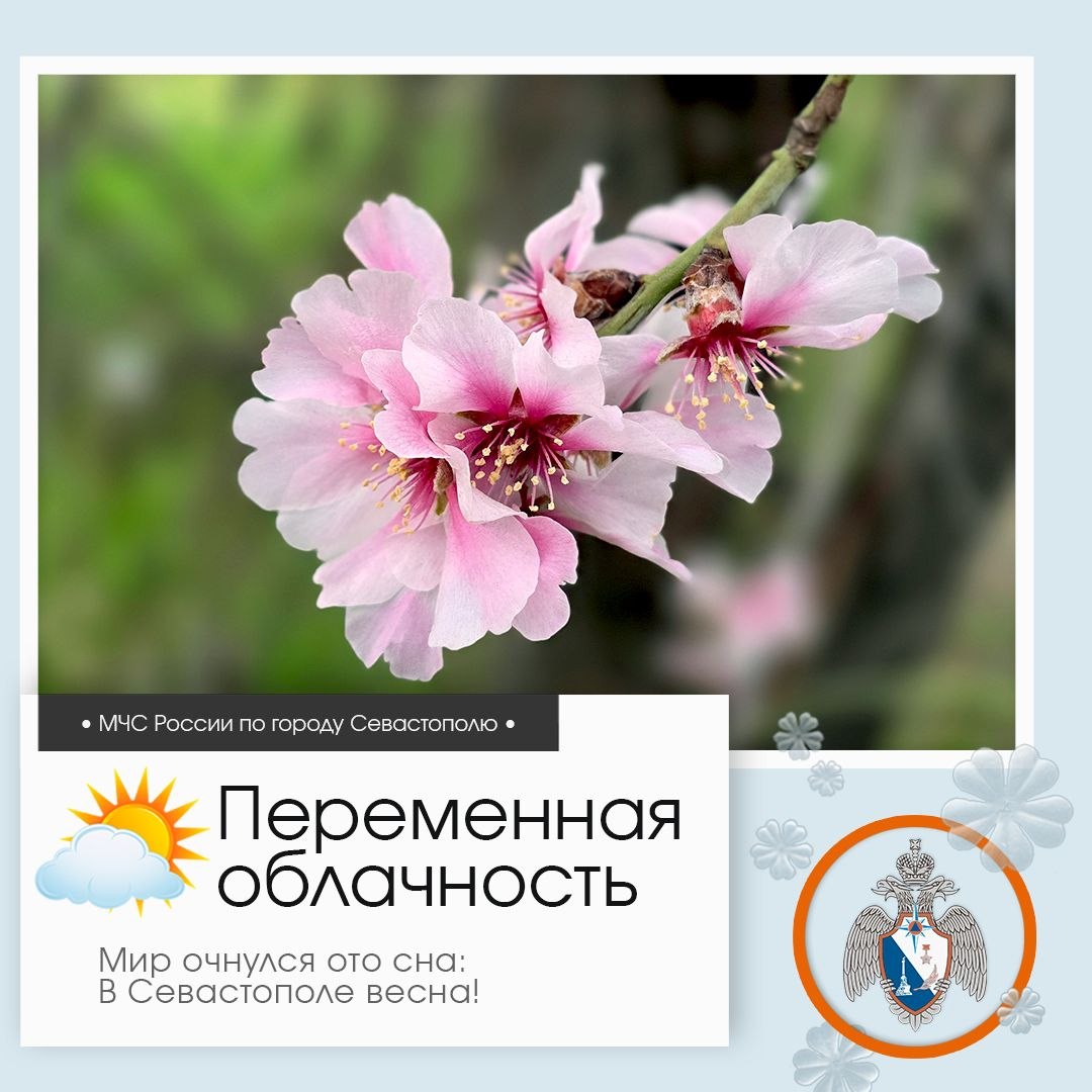 Доброе утро, Севастополь!. По данным гидрометцентра, 23 марта в Севастополе будет переменная облачность