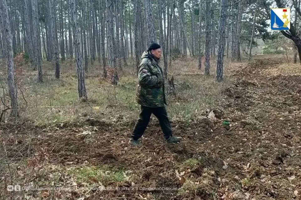 В Мекензиевском лесничестве начали опашку минерализованных полос для защиты лесов от пожаров