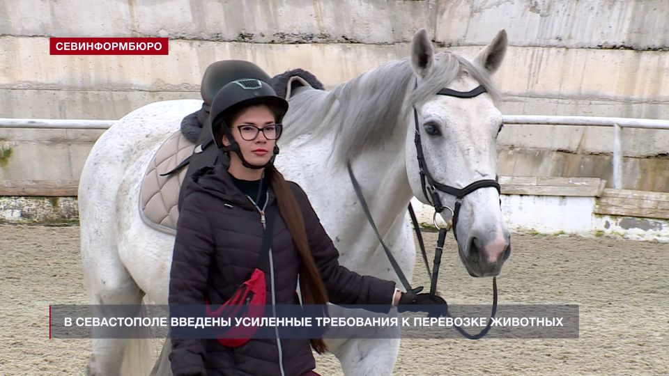 � ����������� ������� �������� �� ������� �������� �� ������� �������