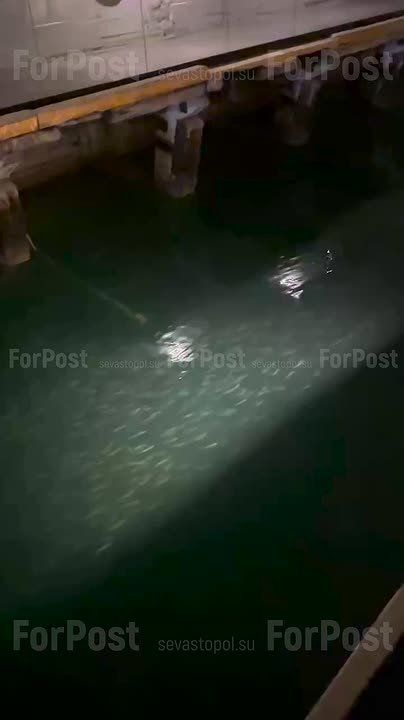 � �������� ���������� ��������� ��������� � ��������� � ���� ����� �����