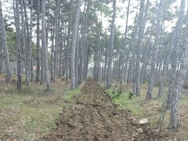 � ����������� ��������� ���������������� ������