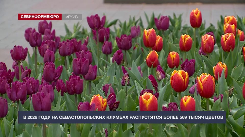 � 2026 ���� �� ��������������� ������� ����������� ����� 569 ����� ������