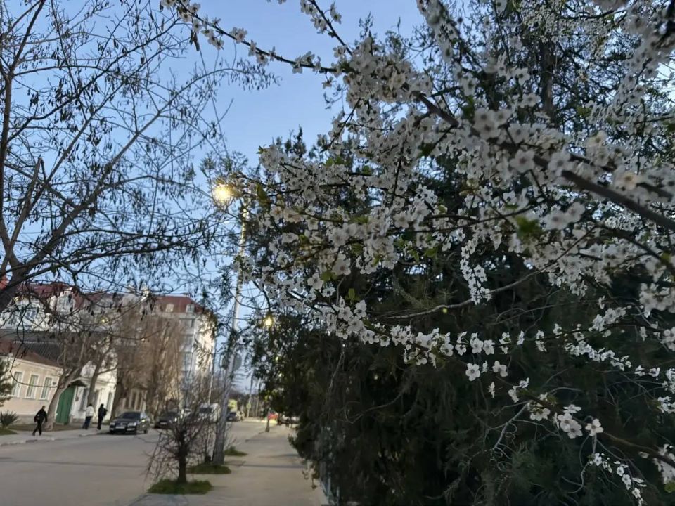 ������ ������� � �������� � ������� ������, �� � �������� �����������