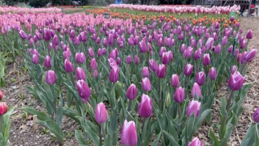 27 ����� � ����� ��������� ����� ���������