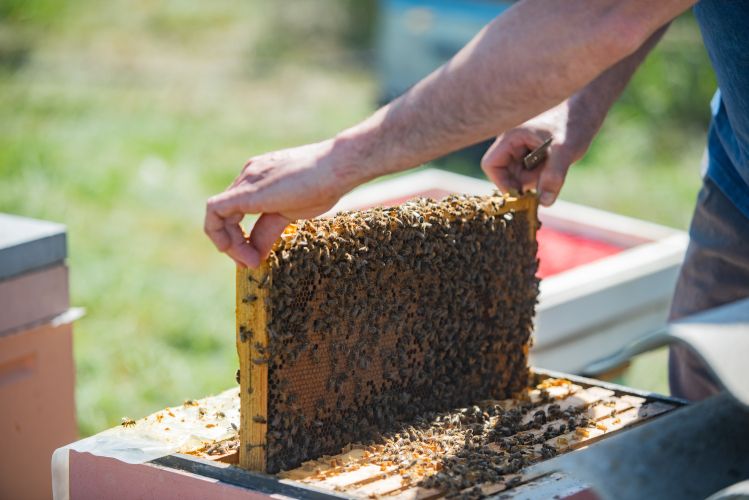 ��������������� ��������� ����� �������� ������������