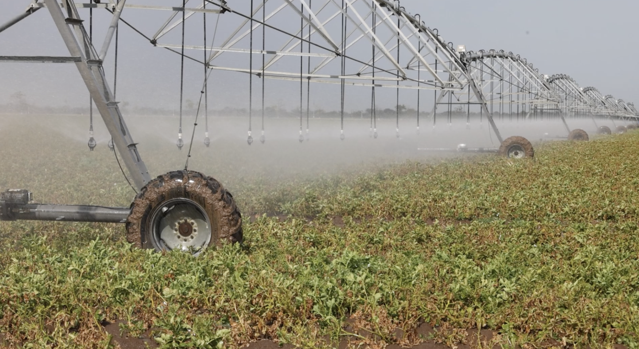Более 31 млн м? воды направят на орошение в Крыму