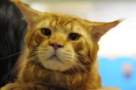 ������� ��� ����, ��������� �� ����� ������ � ����������� � �����������