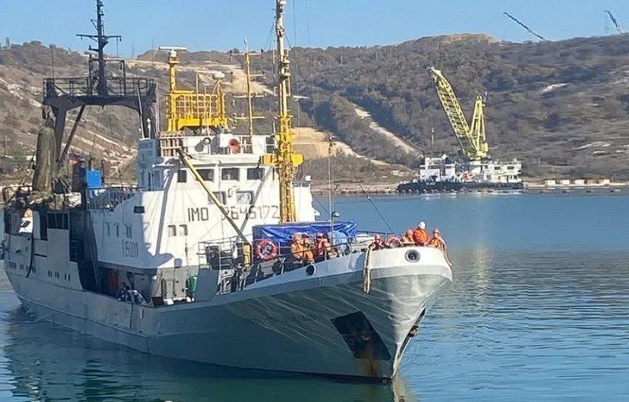 Чтобы хамса не стала импортной: севастопольским рыбакам помогут деньгами
