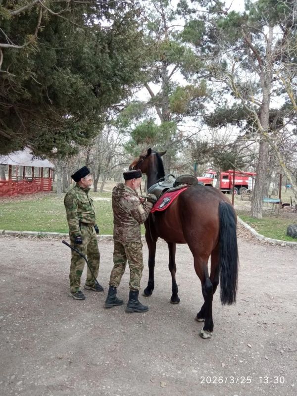 Казаки и лесничие объединили усилия для охраны лесов Севастополя