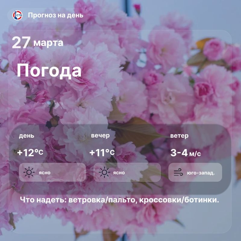 Доброе утро, севастопольцы! В городе ожидается ясная солнечная погода