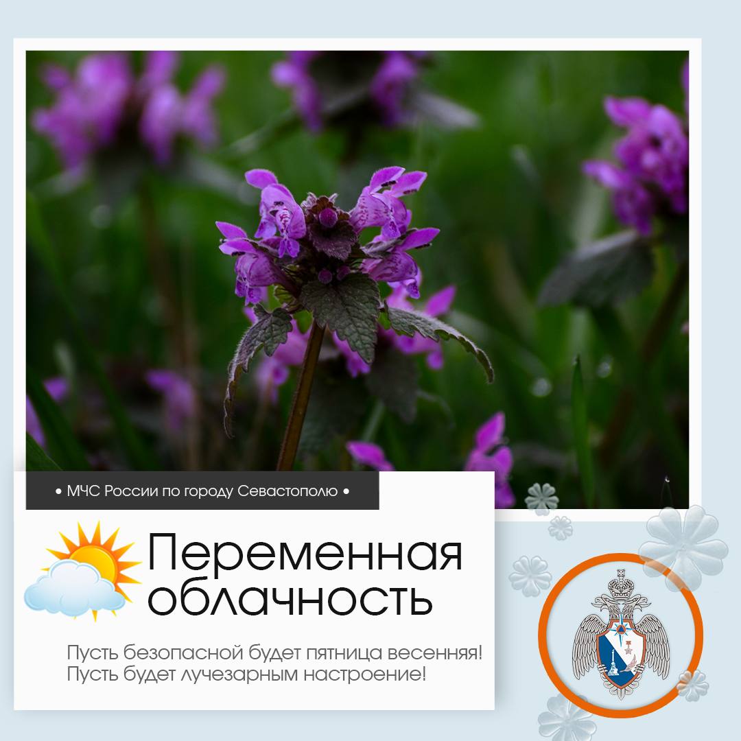 Здравствуй, Севастополь!. По данным гидрометцентра, 27 марта в Севастополе будет переменная облачность