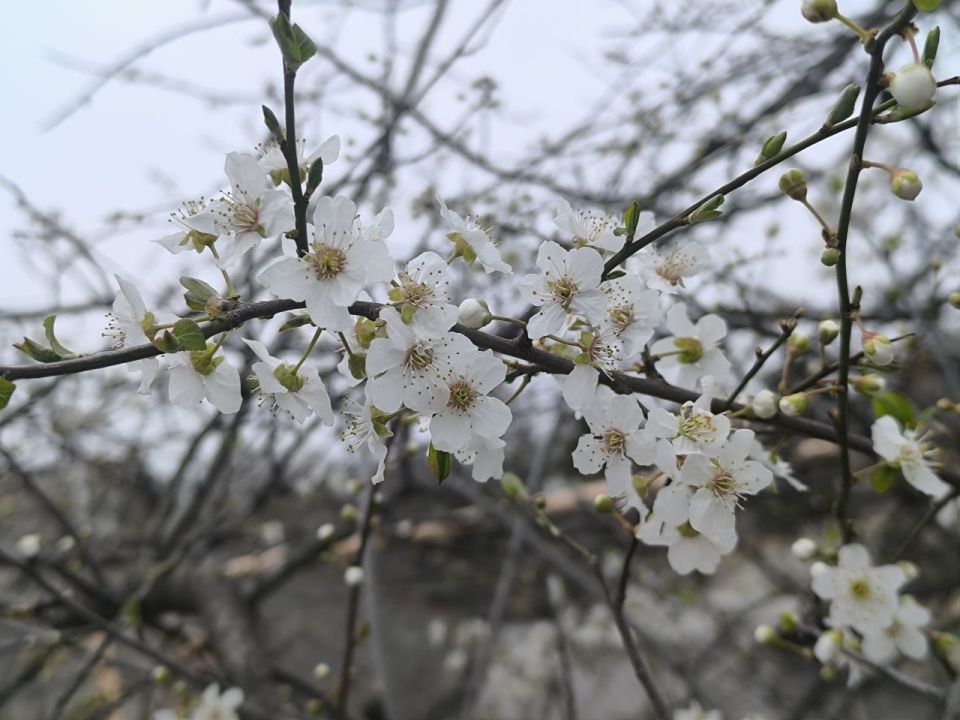 Доброго утра, друзья!. В Севастополе без осадков