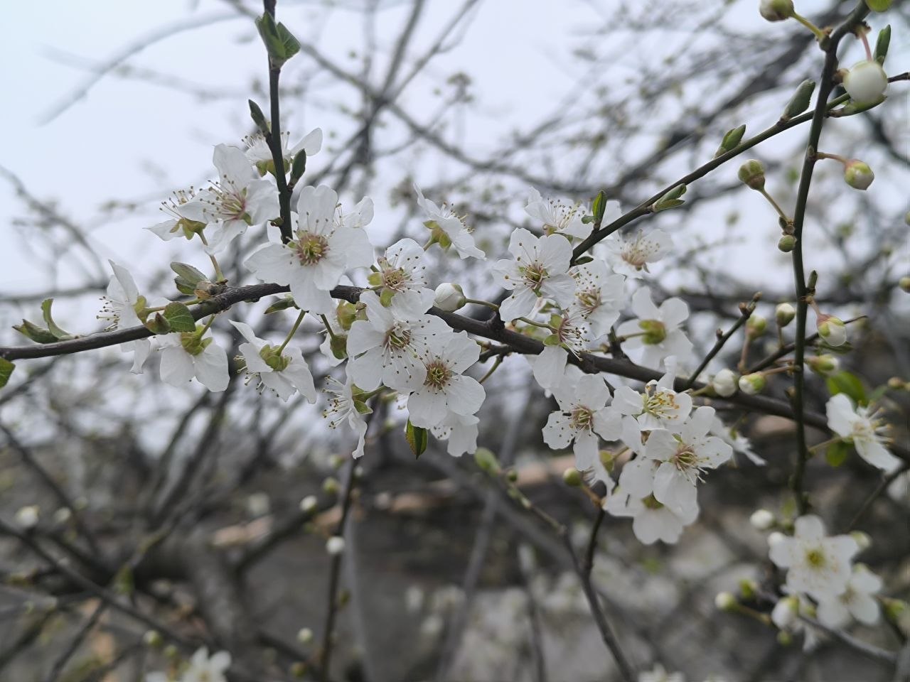 Доброго утра, друзья!. В Севастополе без осадков