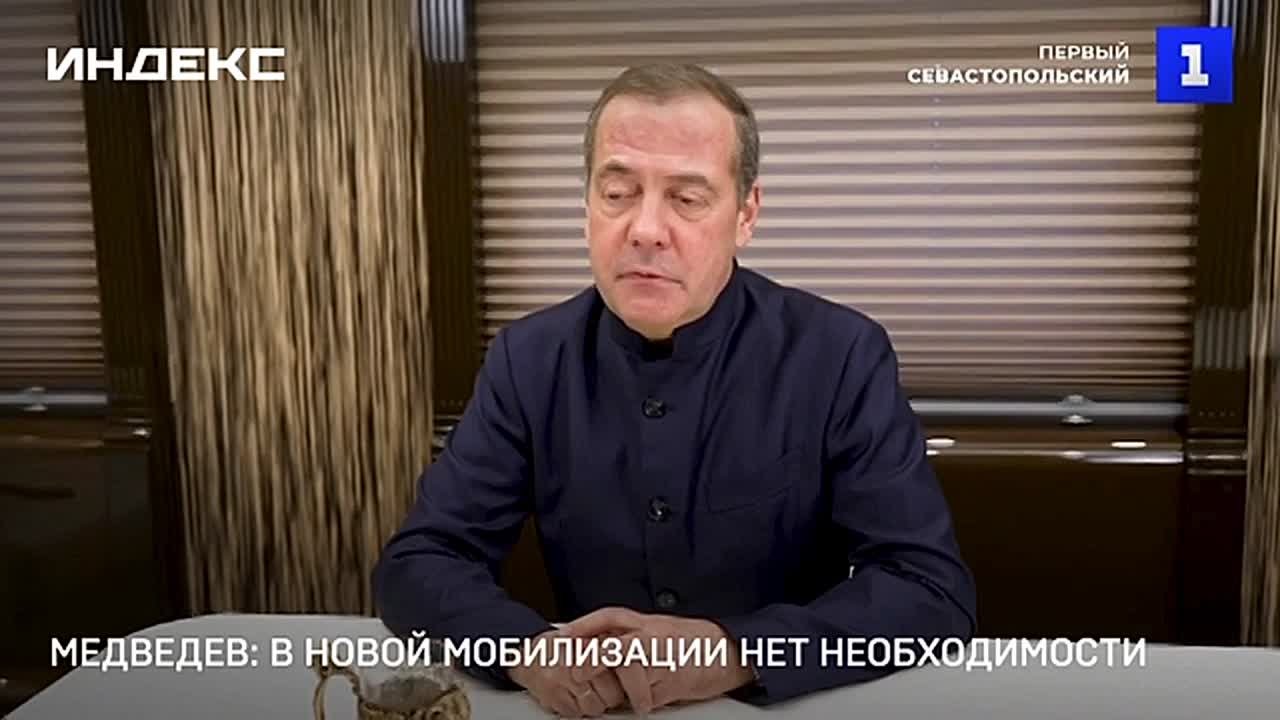 Медведев: в новой мобилизации нет необходимости