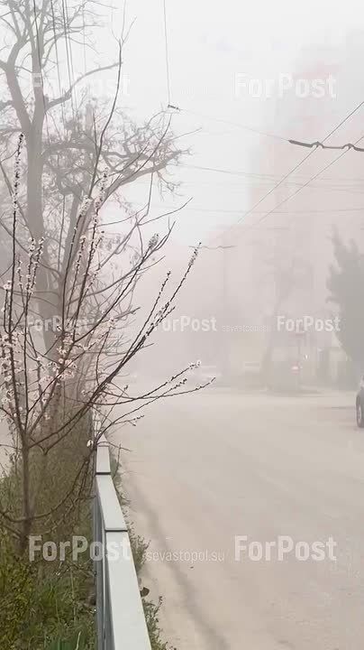 ������ ����� ����� ������ �����������